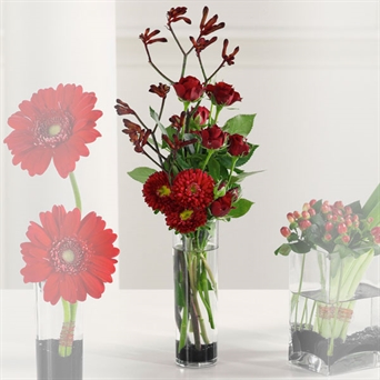 Kangaroo Paw, Asters and Roses